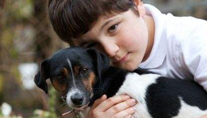 1497083727586437.jpg 狗狗和人2.jpg